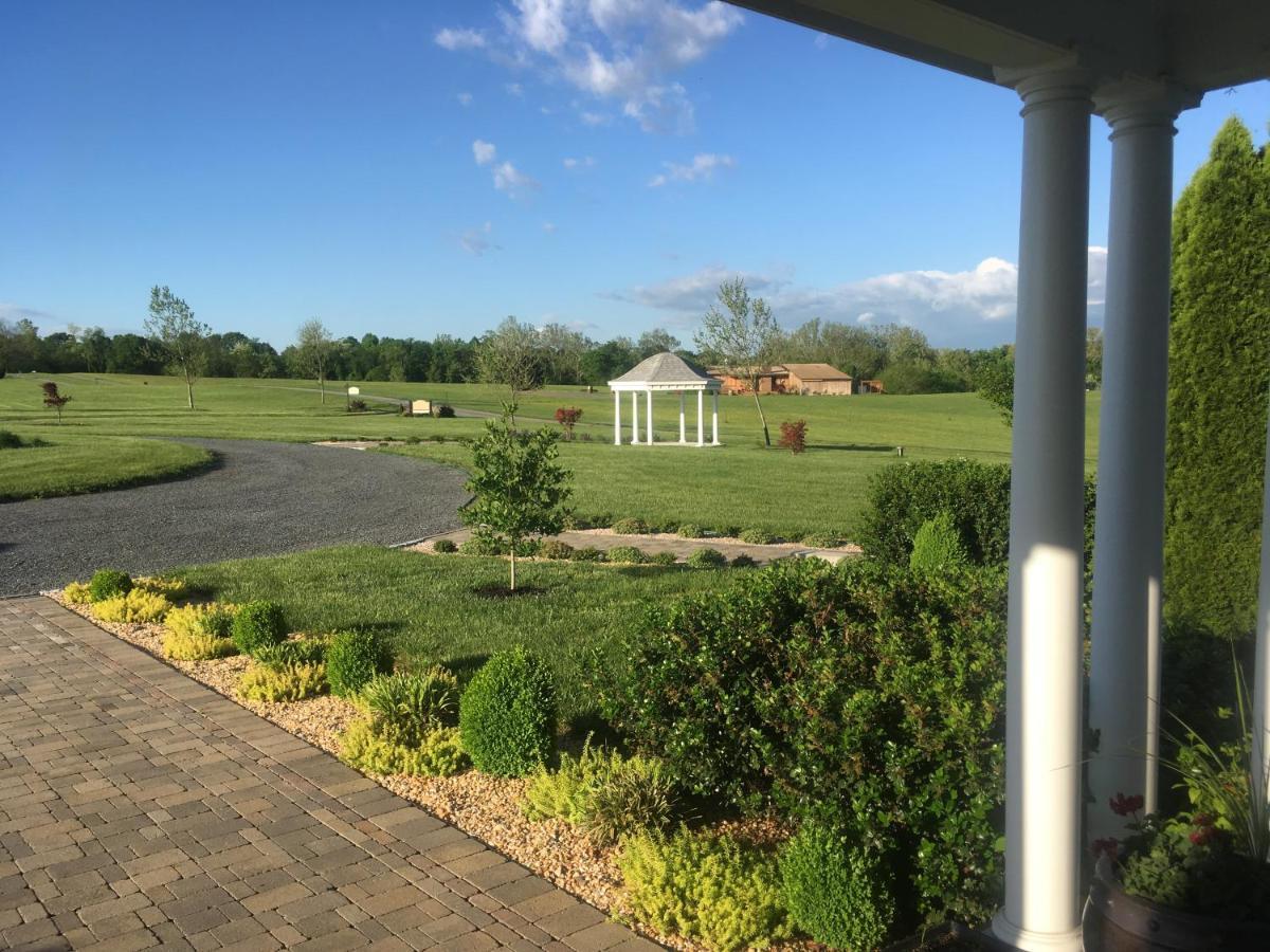 Loudoun Valley Manor B&B Waterford Extérieur photo
